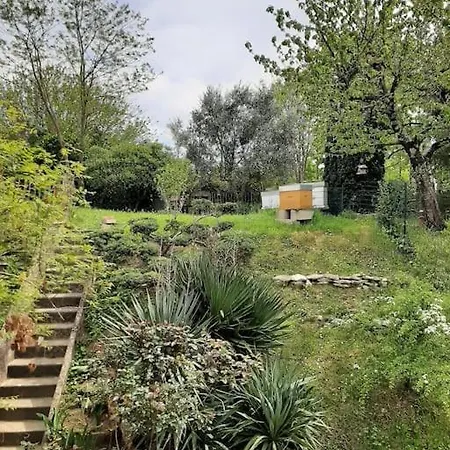 Villa Le 16 Toulouse Exterior foto